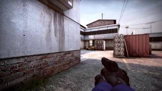 Duck0s 4HS p2000