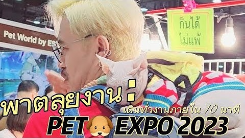 Pet expo thailand 2023 ม อ กท ตอนไหน