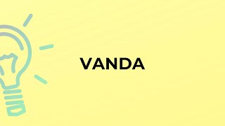 What Is The Meaning Of The Word Vanda?