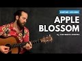 Guitar lesson for "Apple Blossom" by The White Stripes (acoustic)