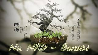 Nu NRG - Bonsai