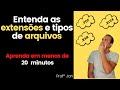 Entenda as Extensões e Tipos de Arquivos | Informática 2022