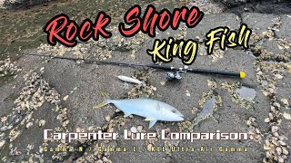 岸抛黄尾𫚕鱼 Land Based Popping King Fish Auckland NZ