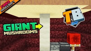 Giant Mushroom Farm | Truly Bedrock [1-40] | Minecraft Bedrock Edition SMP (MCPE / MCBE)