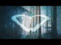 Matthew Parker - Alice