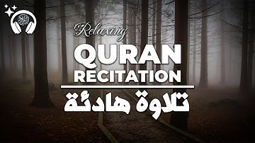 تلاوة هادئة تريح القلب 💚والعقل💎 || سبحان من رزقه هذا الصوت|| القارئ حسام الدين عبادي#صوته_جميل