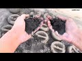 Asmr Edits||Asmr Hub new vlog crumbling||OMG ap k textures bohat Kamal hai no words to explain 💝