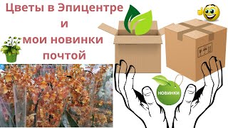 Прогулка по Садовому центру (цены на цветы)  и мои новенькие в коллекции комнатных растений