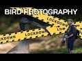 Lockdown Bird Photography &amp; Photoshop Tutorial | Canon EF 100-400 ||