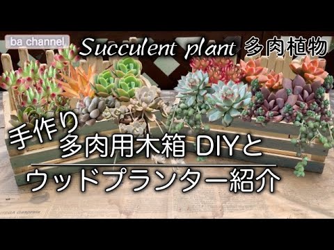 111 多肉植物 Succulent 多肉用のウッドプランター作り Diy これまで作った木箱の寄せ植えご紹介 100均の木箱を土台にオリジナルのウッドプランターを作ります Youtube