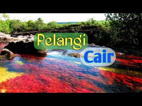 Video: Planet Menakjubkan: Sungai Caño Cristales Yang Pelbagai Warna