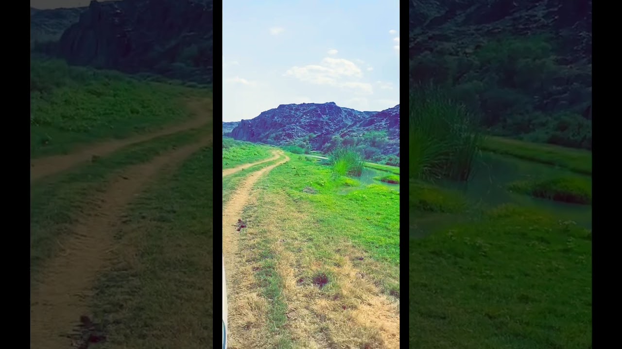 وادي تربه الباحة