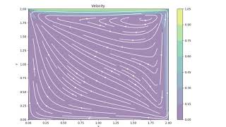 E41, Cavity flow, velocity
