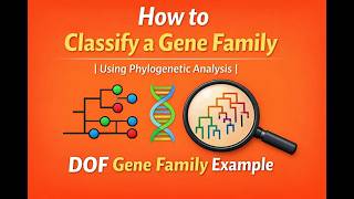 How to Classify a Gene Family Using Phylogenetic Analysis | DOF Gene Family Example