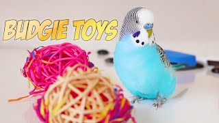 How to keep Budgies healthy with Budgie Toys?