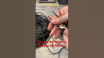 Dây Loa Bãi Nhật Xịn 4 Lõi, 6 Lõi Mạ Bạc Chỉ 55k/1m #shorts