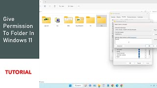 How to give permission to folder in Windows 11