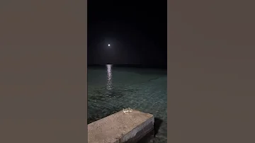 ان روحي تناجيها وعيني تسير اثر خطاها عبد الرحمن محمد بروحي فتاة تصميم اغاني ستوريات حالات 