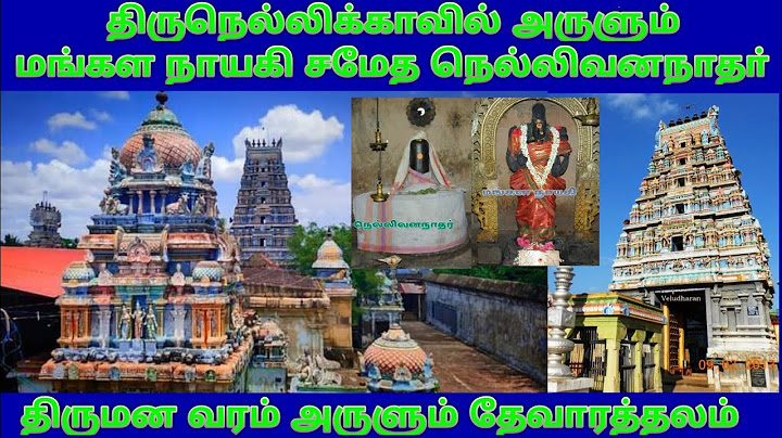 திருநெல்லிக்காவல் நெல்லிவனநாதர் கோயில் Tiruvarur / Thirunellikaval Sri Nellivana Nathar Temple tiruv