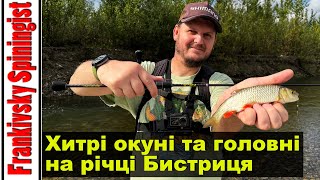 видео: 🎣 Хитрі окуні та головні на річці Бистриця | Golden Catch Flick 24 FLS-702ULS- карпатський мікроджиг картинка: 🎣 Хитрі окуні та головні на річці Бистриця | Golden Catch Flick 24 FLS-702ULS- карпатський мікроджиг