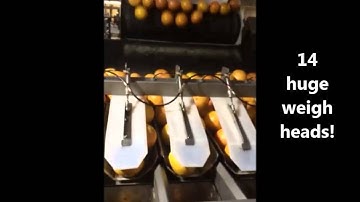 Fox Solutions NEWTEC 4014XB1 2 x PEB61KL for citrus