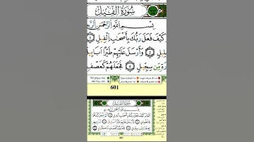 تلاوة ( سورة الفيل). بصوت القارىء ياسين الجزاءري