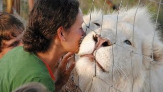 Top 10 Wild Animals You Can Own as pets by 10listings 1,116,562 views 9 years ago 2 minutes, 42 seconds