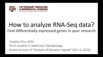 How to analyze RNA-Seq data? Find differentially expressed genes in your research.