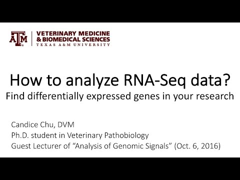 Video: RNA-seq Data Om Ganoderma Boninense Ved Aksen Kulturbetingelse Og Under I Planta Patogen-olie Palme (Elaeis Guineensis Jacq.) Interaktion