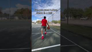 Can you guard LeBron? #short #shorts #nba #basketball #basketballshorts #handles #layup #lebronjames