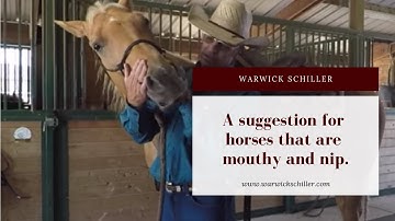 Solving biting or nipping issues with horses-this is not how I do this anymore please see new videos