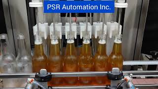 PSR Automation Inc. Counter Pressure Filling Machine Beer, Wine, Carbonated Beverages Bottle Filler screenshot 4