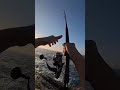 beside the sea 🎣 | fishing video.                                              #fishing #fish #sea