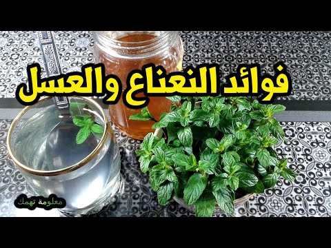 ماهى فوائد النعناع مع العسل والامراض التى يعالجها هذا الكنز للمناعة والكثير