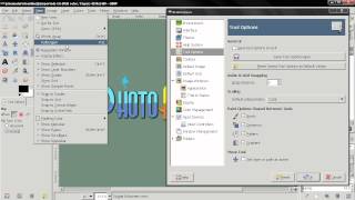 Tool Options - Preferences - GIMP 2.8 Beginners' Guide ep10