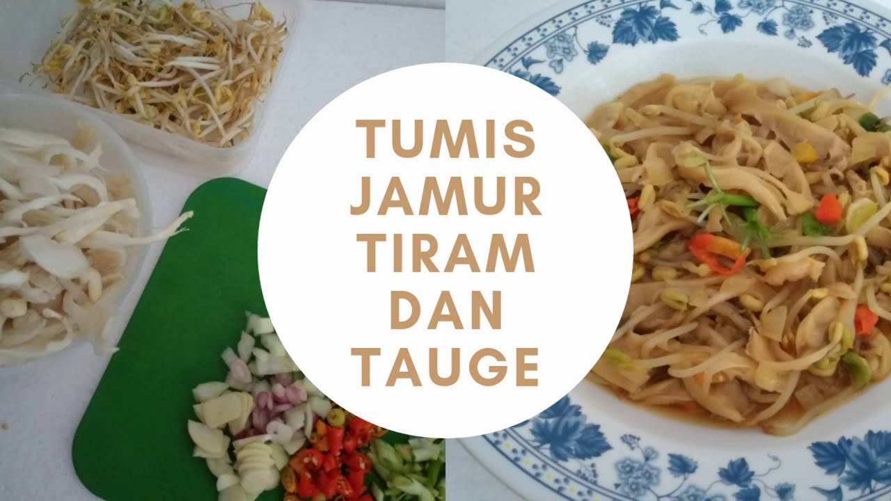 RESEP TUMIS JAMUR TIRAM DAN TAUGE ENAK ALA WARTEG Kegiatan Ibu Rumah Tangga di Dapur Kontrakan