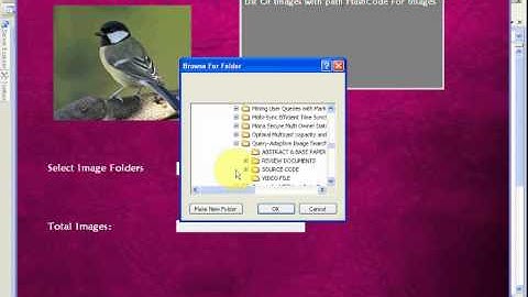 Query-Adaptive Image Search With Hash Codes-2013 PASS IEEE Projects