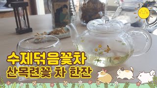 산목련꽃의효능 /함박꽃 / 꽃차 우림 하는 방법 심신안정 스트레스 해소에 좋은 건강차 자연에서 직접 채취한 꽃으로 구증구포 수제덖음꽃차  차한잔 하세요