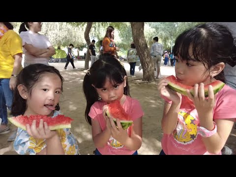 Video: Ang Pinakamagandang Adventure Activities sa Dubai