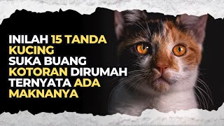 LEBIH BAIK WASPADA !! ARTI RUMAH SERING DIBERAKIN KUCING MENURUT ISLAM, PERTANDA AKAN SIAL  Sahara