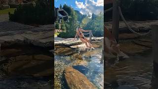 Taking a Fall - Ozzy Man Quickies