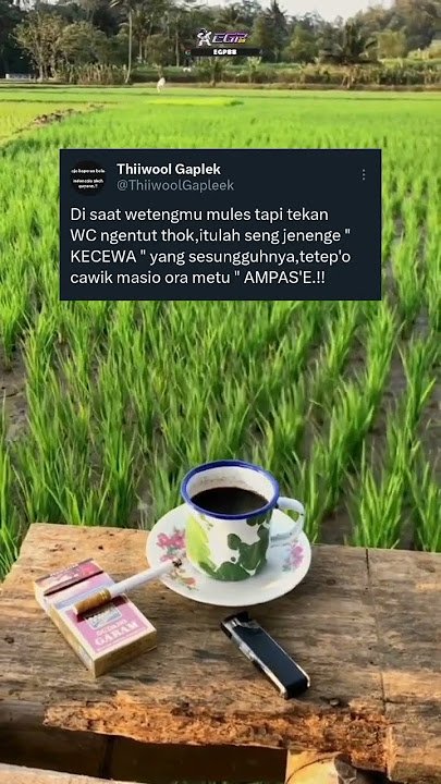 rokok surya   kopi