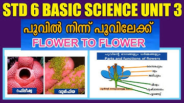STD 6 Basic Science Unit 3|Flower To Flower Part1|SCERT Kite Victers STD 06 Basic Science |Umakkutty