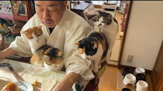 ようこそここへ膝上だよパラダイス。