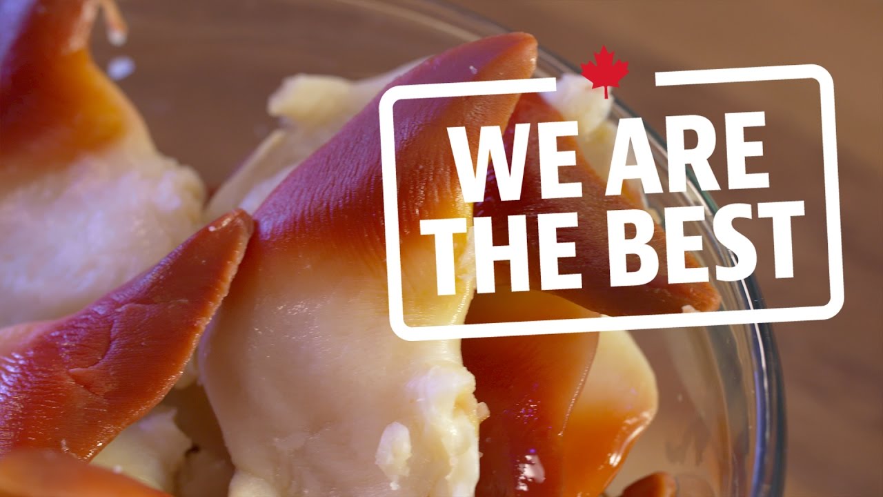 Why Nova Scotia's Arctic surf clams are such a big hit in Japan We