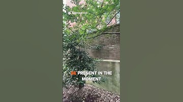 Be The Change—Every Choice Matters #substack #shorts