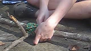 Boy Scout First class requirement 3c pt 2 1