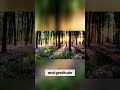 Gratitude Meditation: Nurturing Earth and Inner Peace #gratitude #earth #spirituality