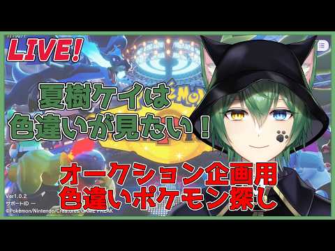 【#pokemon  SV色違いさがし作業　】オークション大会用に色違いさがしてくよ【#vtuber  #日々是夏樹 】