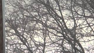 Varna, Bulgaria - December, 2012 screenshot 2